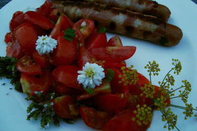 abendwurst_20100810_zg2.jpg
