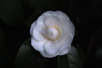 janet_w2_11045.jpg