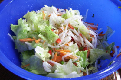 10082010--02.jpg