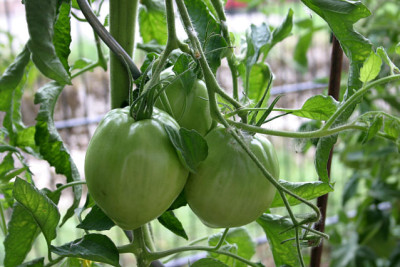 August0510.jpg