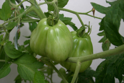 August0910.jpg