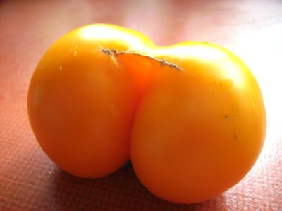 Doppeltomate.jpg