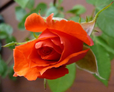 BF_0810_03.JPG