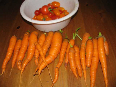 K640_IMG_1670.JPG