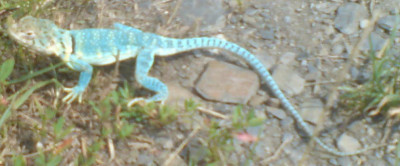 DSC03846.JPG