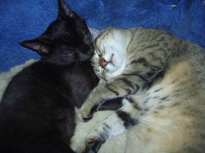 Kuscheltime.jpg
