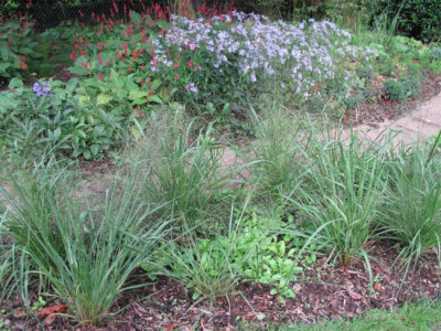 ostbeet_18aug_2010.jpg