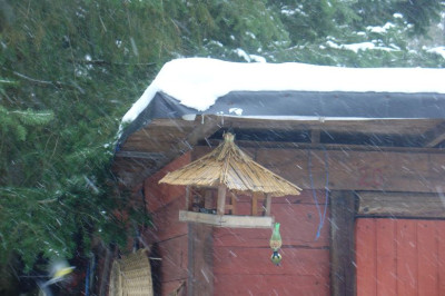 winter001.jpg