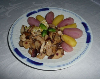 kuche_100820.jpg