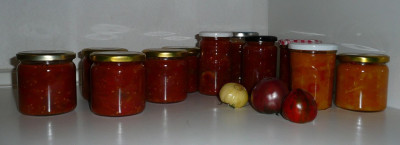 kuche_100820_1.jpg