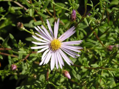 100821_07a.jpg