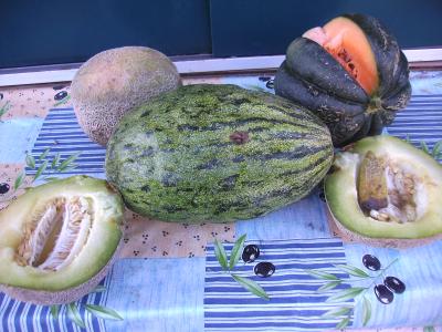 Gammelmelonen.jpg