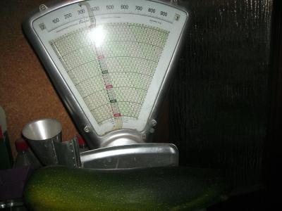 groerZucchino.jpg