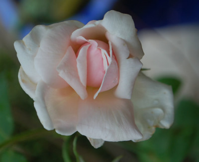 Lady_Ursula_0010__8104.jpg