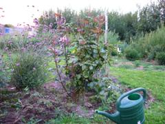P1010391_WinCE.JPG