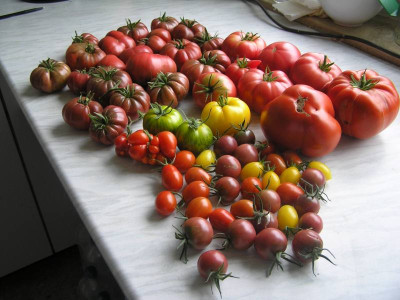 ernte280810.jpg
