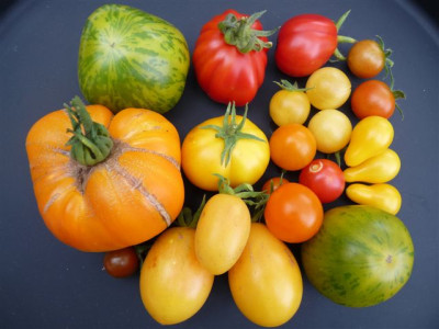 28.08.2010.60.JPG