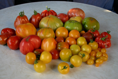 August2610.jpg