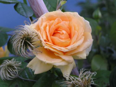 100827_24a.jpg