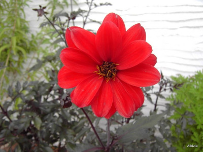 PICT5004.JPG
