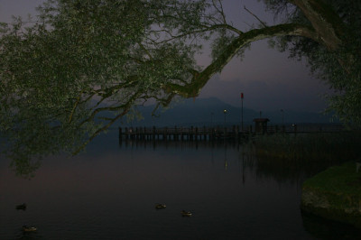 IMG_7884a.jpg
