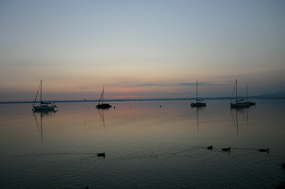 IMG_7883a.jpg