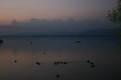 IMG_7886a.jpg