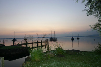 IMG_7895a.jpg