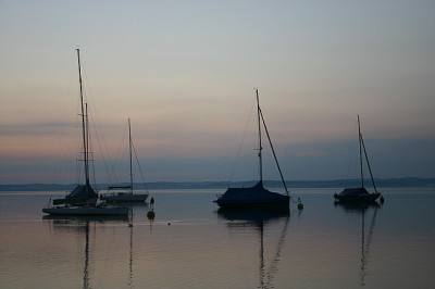 IMG_7906.jpg