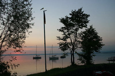 IMG_7920.jpg
