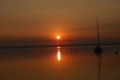 IMG_7944a.jpg