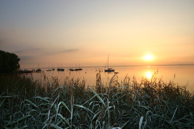 IMG_7955a.jpg