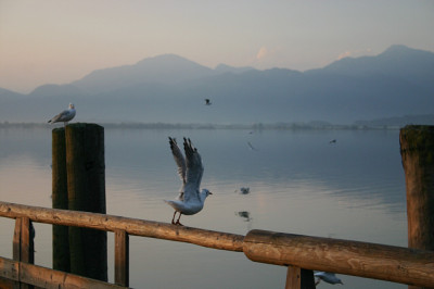 IMG_7972a.jpg