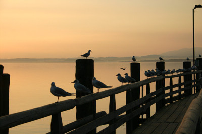 IMG_7975a.jpg
