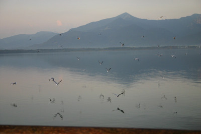 IMG_7974a.jpg