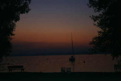 IMG_8046a.jpg
