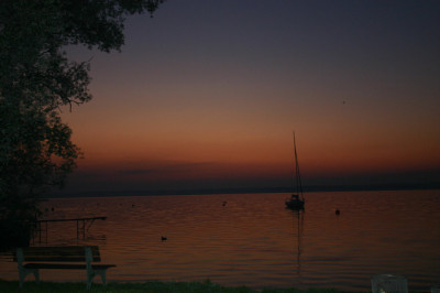 IMG_8048a.jpg