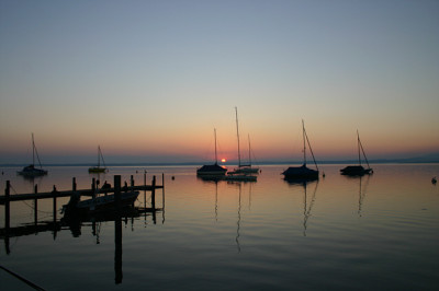 IMG_8088a.jpg