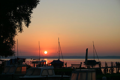 IMG_8100a.jpg