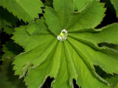 100_3275-kl.jpg