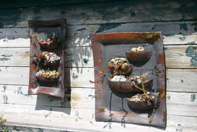 Sarastro4510.jpg