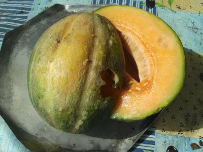 MeloneAnanasangemampft.jpg