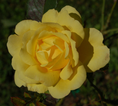 Mountbatten_0010__78545.jpg
