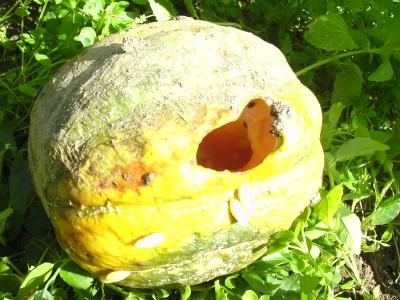 Melonenhohle.jpg