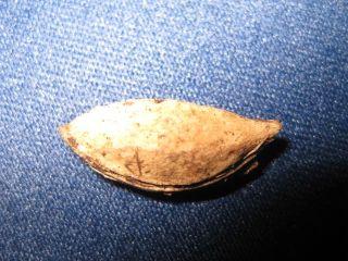 IMG_3177kk.jpg