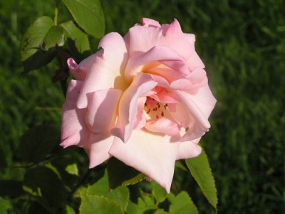 100903_3a.jpg