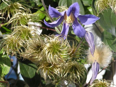100901_07a.jpg