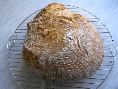 brot050910.jpg