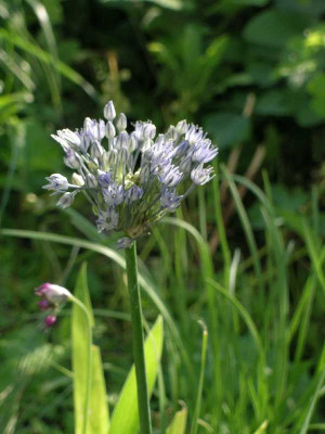 DSCN4818.JPG