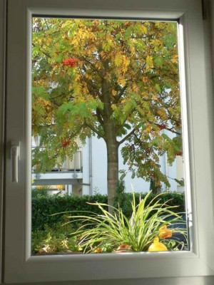 KuechenfensterblickHerbst.jpg